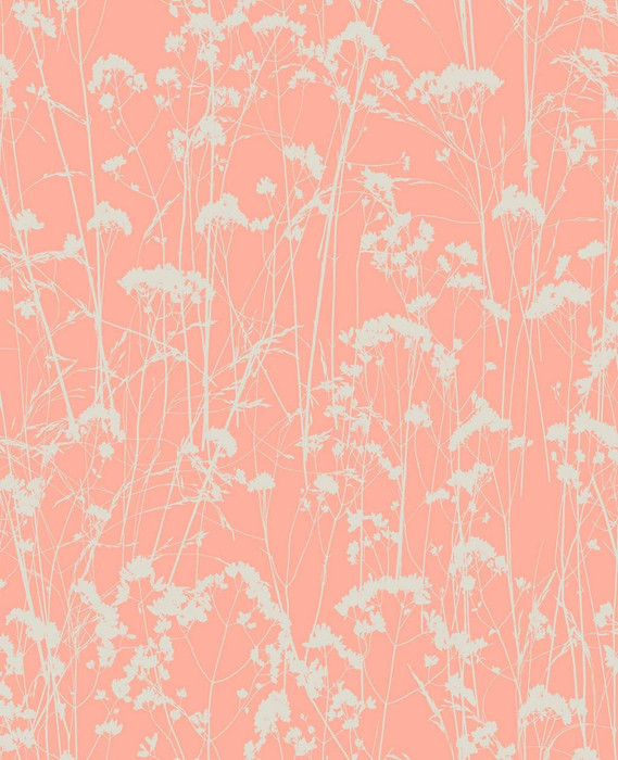 Grace - Coral