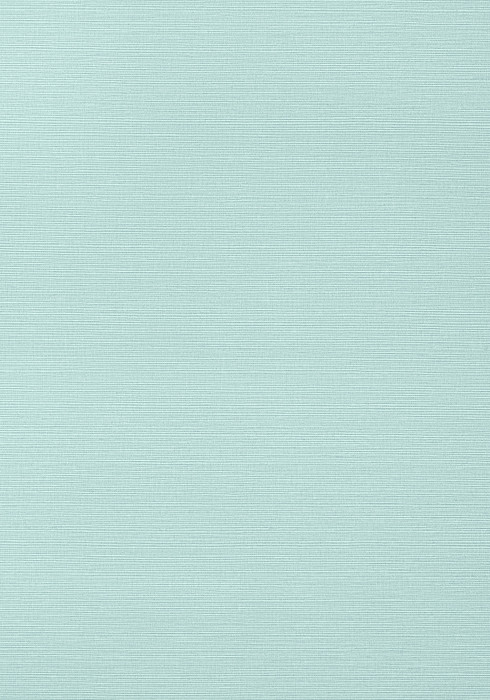 Taluk Sisal - Turquoise