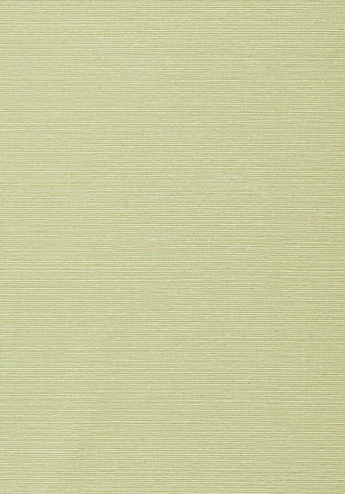 Taluk Sisal - Willow