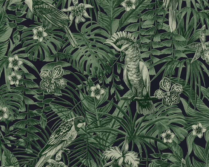 Jungle Birds - Green / Black