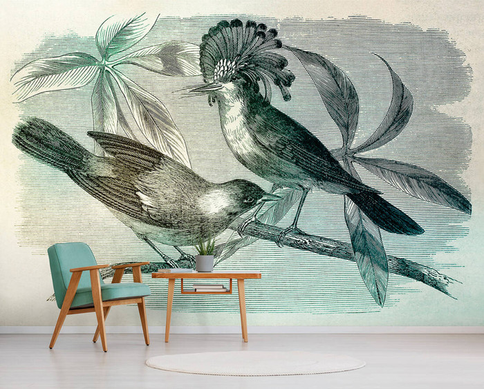 Mural - Vintage Birds 1 (4m X 2.7m)