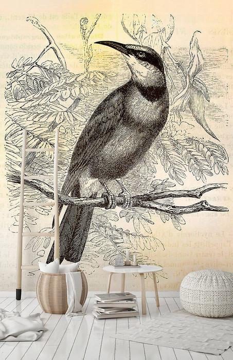 Mural - Vintage Birds 2 (2m X 2.7m)