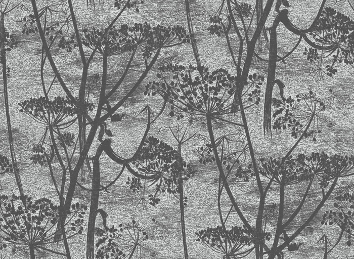 Cow Parsley - Charcoal