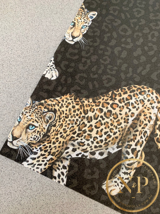 All Over Leopard - Charcoal