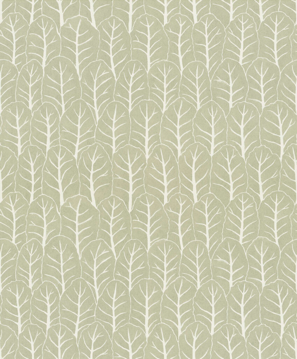 Coleslaw - Laurel Green