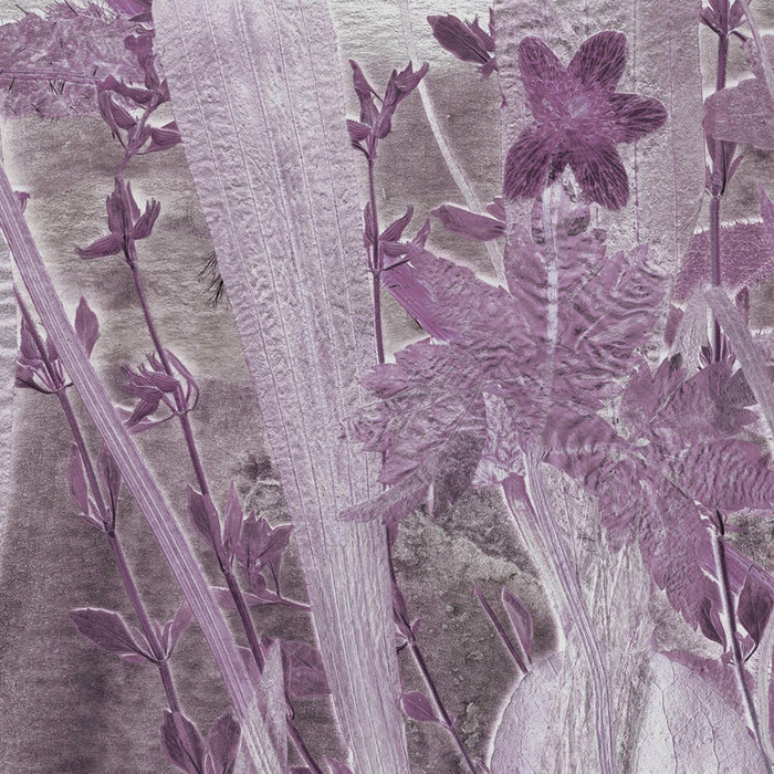 Mural - Flora Hysterica II (Per Sqm) Mural - Flora Hysterica II (Per Sqm)