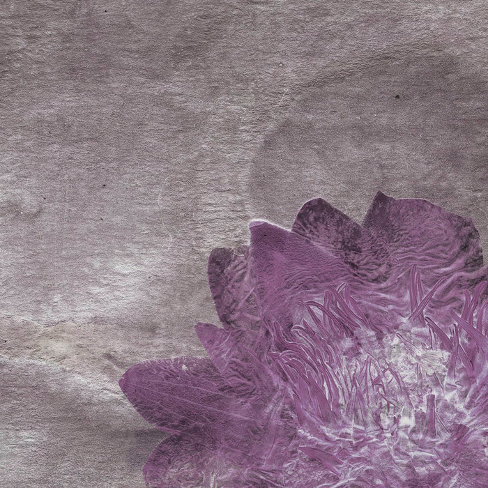 Mural - Flora Hysterica II (Per Sqm) Mural - Flora Hysterica II (Per Sqm)