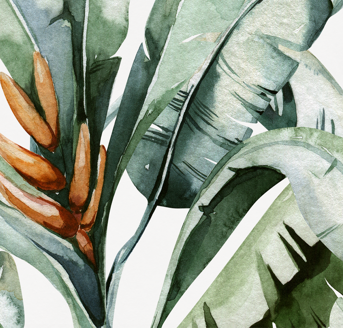 Mural - Banana Palm Leaf (Per Sqm)