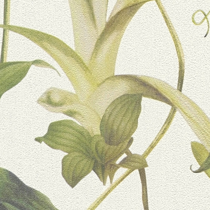 Sofia - Cream / Green
