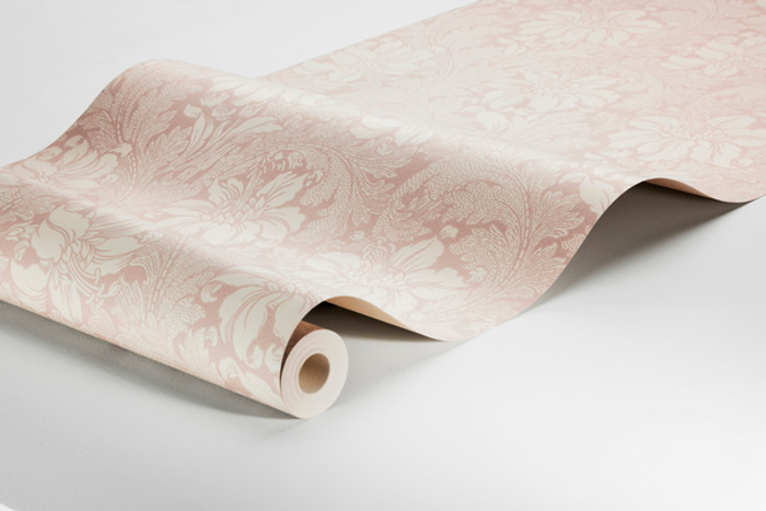 Acanthus - Pink