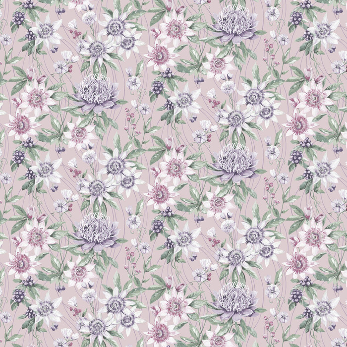 Passiflora - Pink