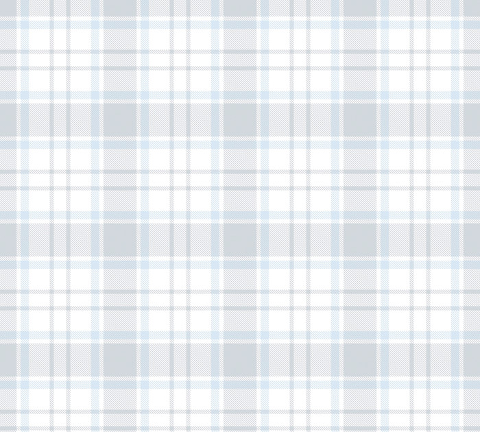 Gingham - White / Blue