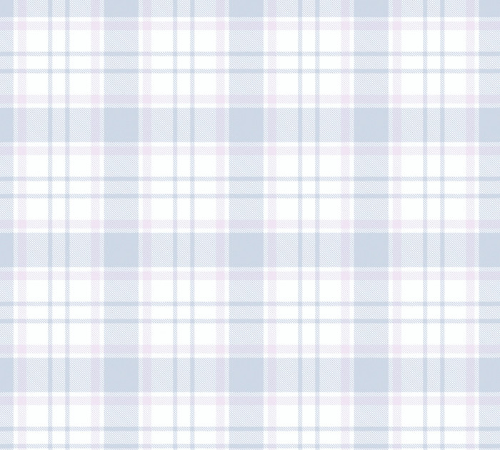 Gingham - Blue / Pink