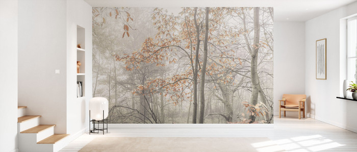 Mural - Misty Forest (Per Sqm)