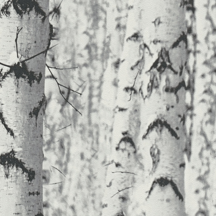 Bamboo Forest - Grey / White