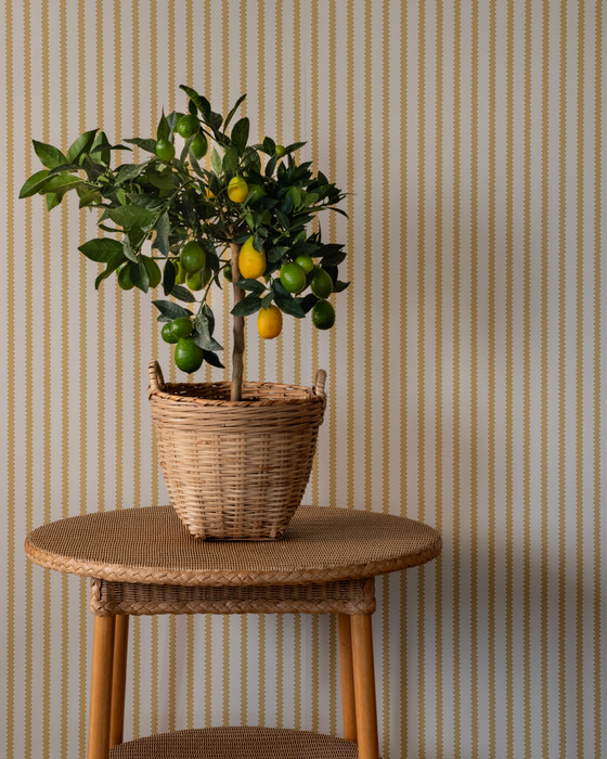 Stitched Stripe - Soleil