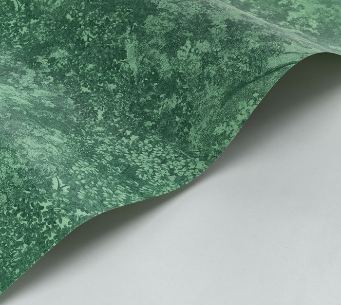 Canopee - Vert Forest