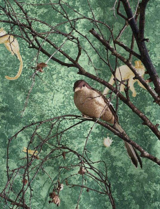 Jardin Des Merveilles - Vert Forest