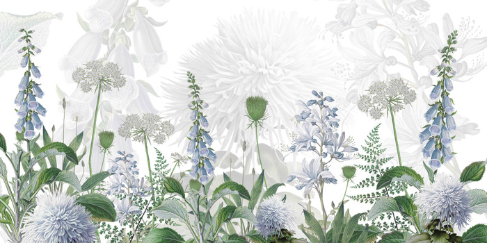 Mural - Foxglove Flowers Blue (Per Sqm)