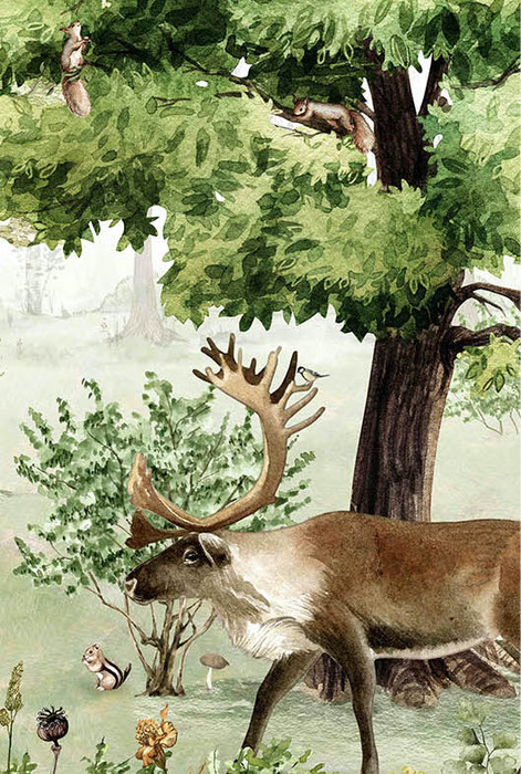 Mural - Woodland Wonders (Per Sqm)