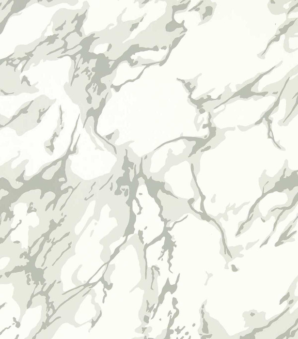 French Marble - Grey / White