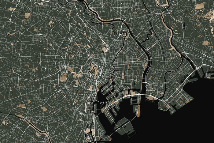 Mural - Tokyo Map II (Per Sqm)