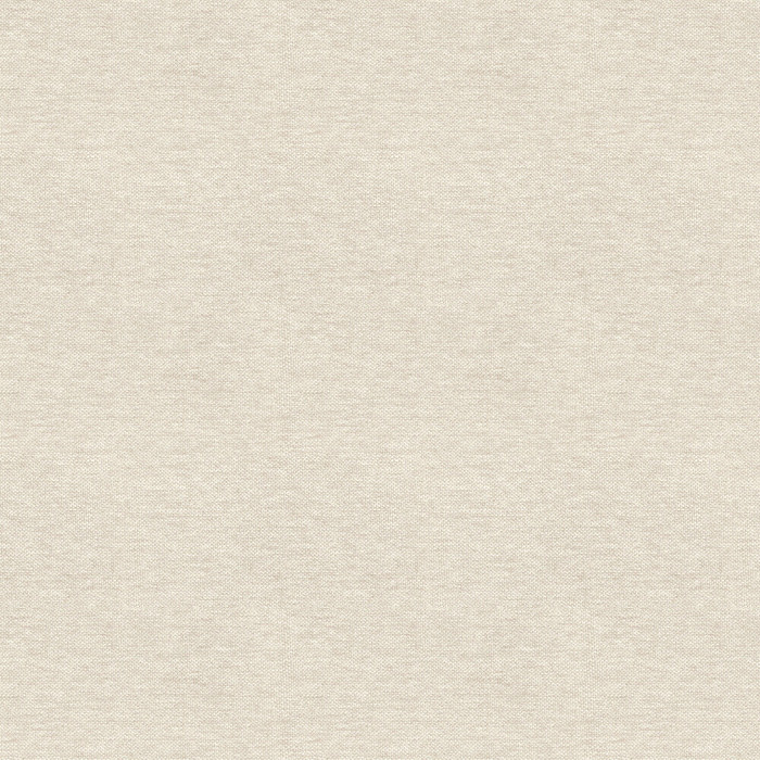 Palm Texture - Cream