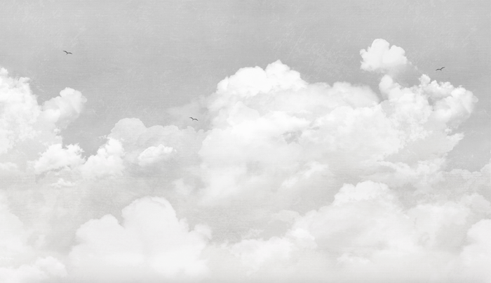 Beautiful Soft Grey Clouds Wallpaper Mural