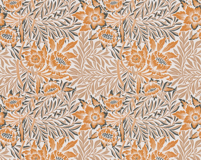 Wildblume - Beige / Orange