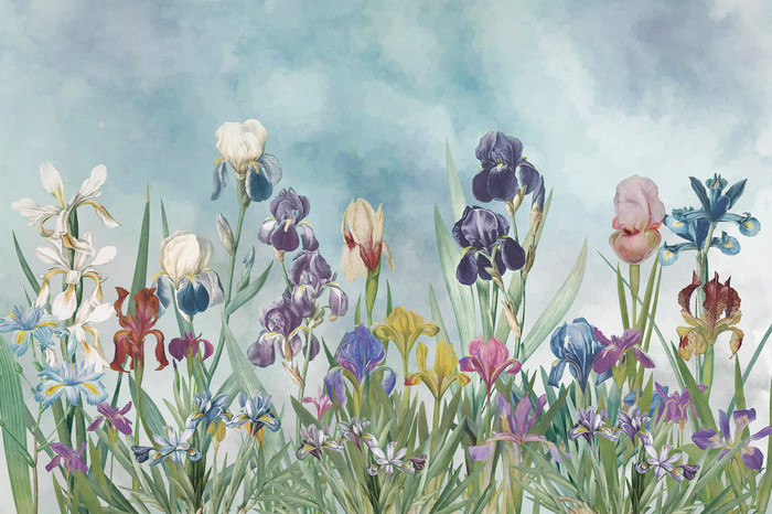 Mural - Iris Field (Per Sqm)