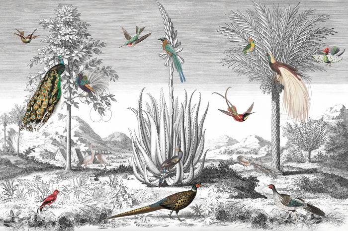 Mural - Birds in Nature (Per Sqm)