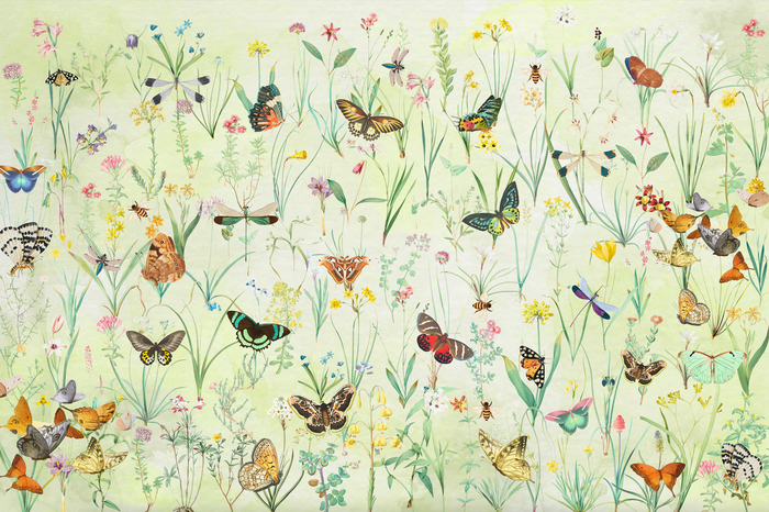 Mural - Herbs & Butterflies (Per Sqm)