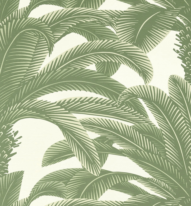 Queen Palm - Sage Green