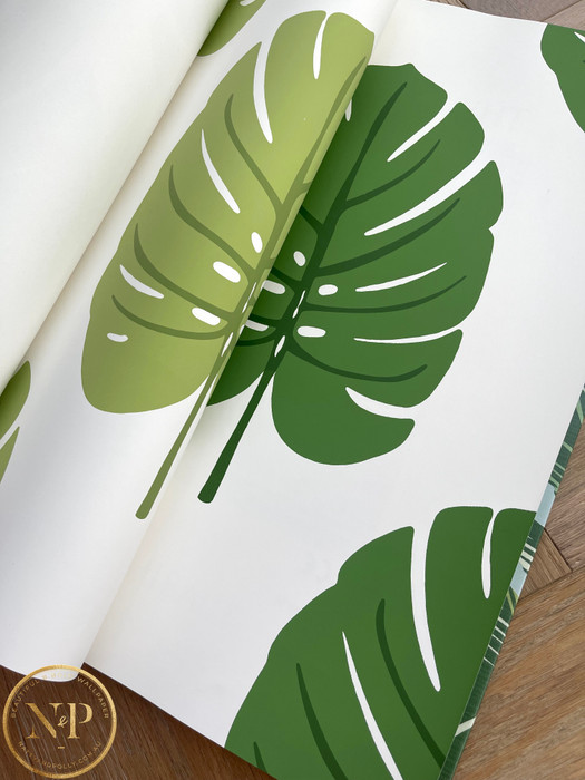 Monstera - Green / White