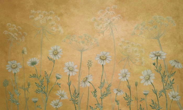Mural - Daisies Yellow (Per Sqm)