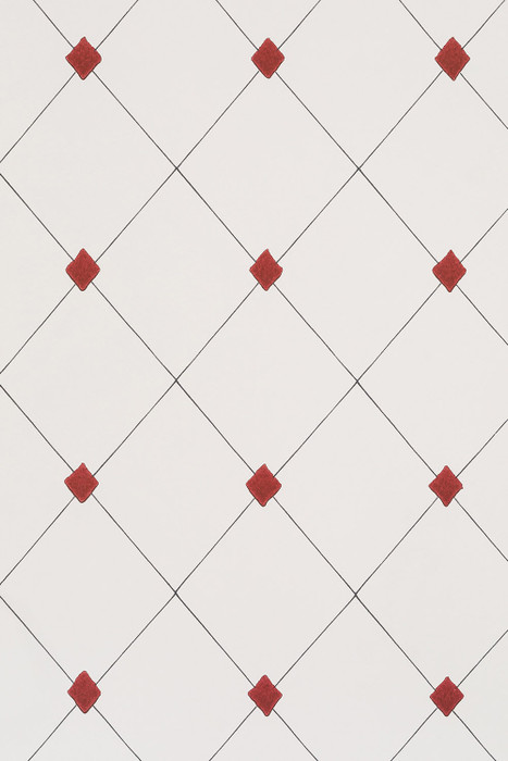 Diamond Trellis - Red