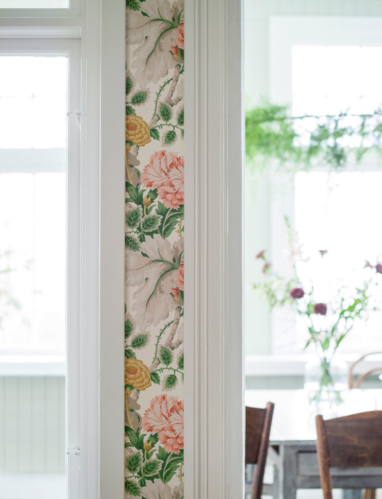Carnation Garden - Multicolour