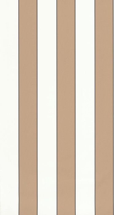 Golden Lines - Camel