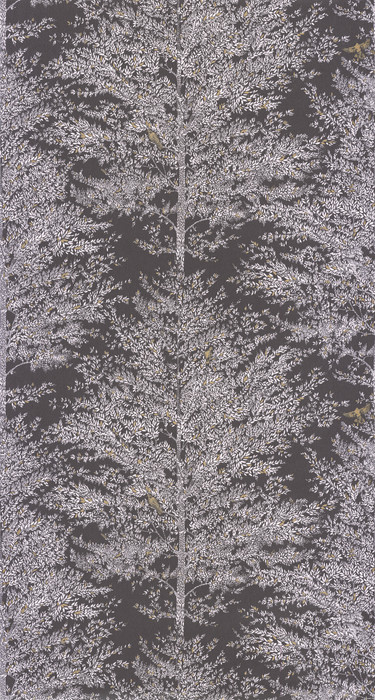 Tree Of Life - Black