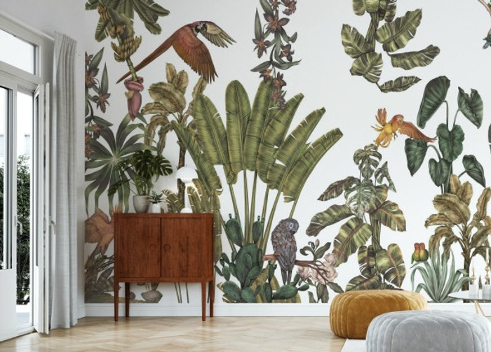 Mural - Parrot Tropical Home 4.7m x 3.1m