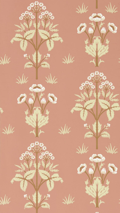 Meadow Sweet - Peach