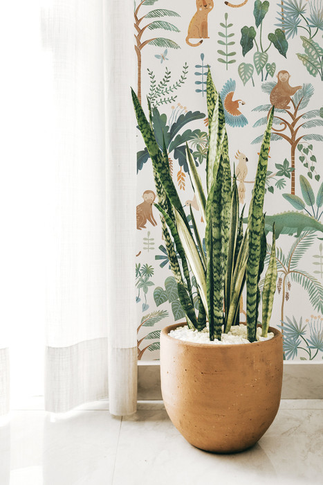 Wild Escapade - Multicolour