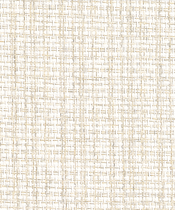 Coastline - Cream Coastline - Cream