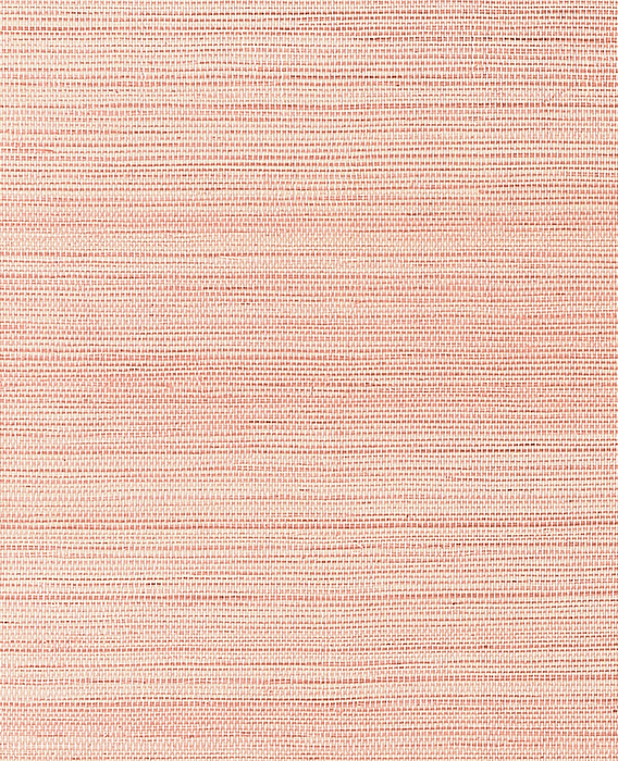 Windward Sisal - Blush