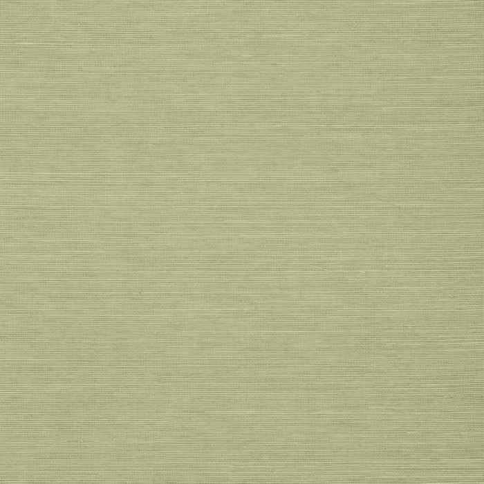 Shang Extra Fine Sisal - Willow