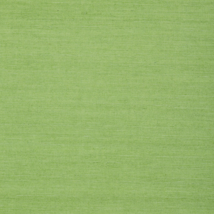 Shang Extra Fine Sisal - Kelly Green