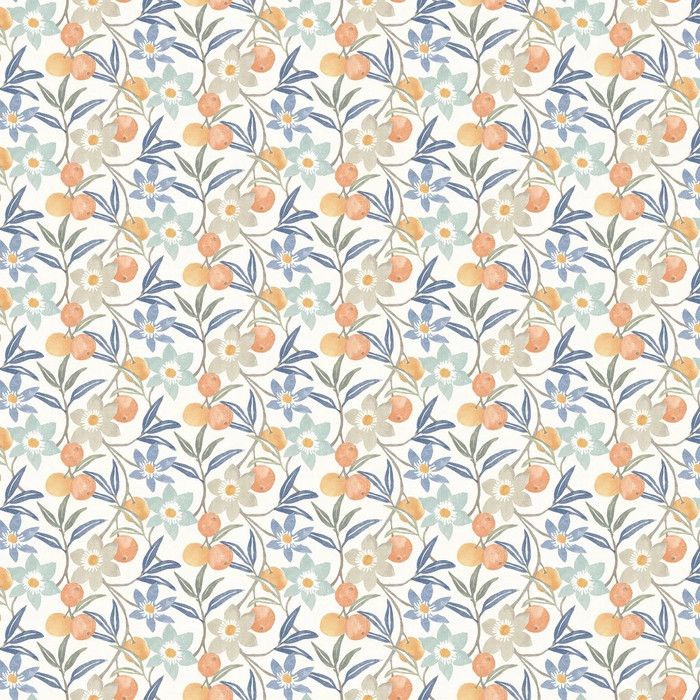 Passiflora - Multicolour