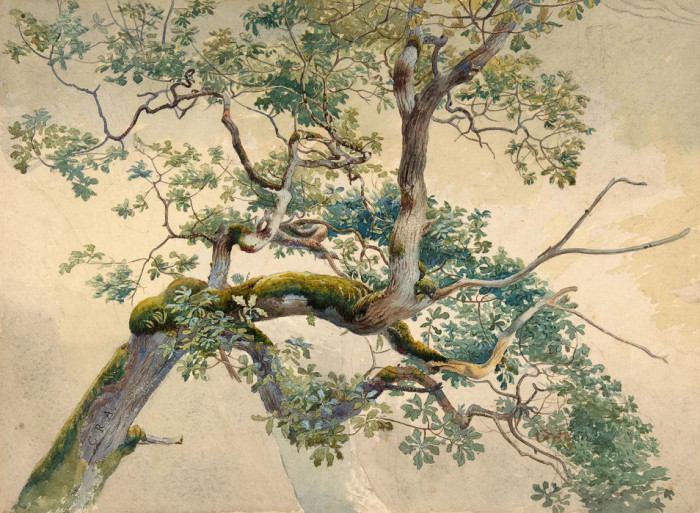 Mural - Tree Branch Art (Per Sqm)