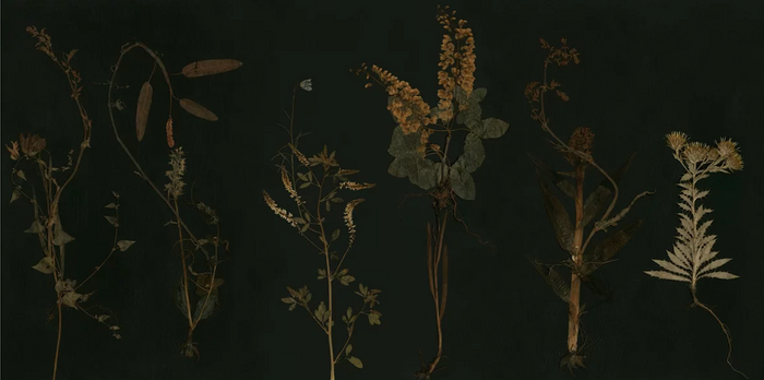 Mural - Litha (Per Sqm)