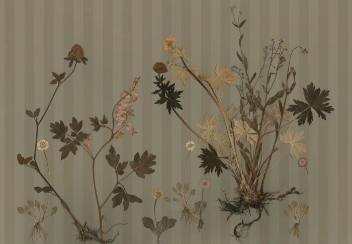 Mural - Floralia (Per Sqm)